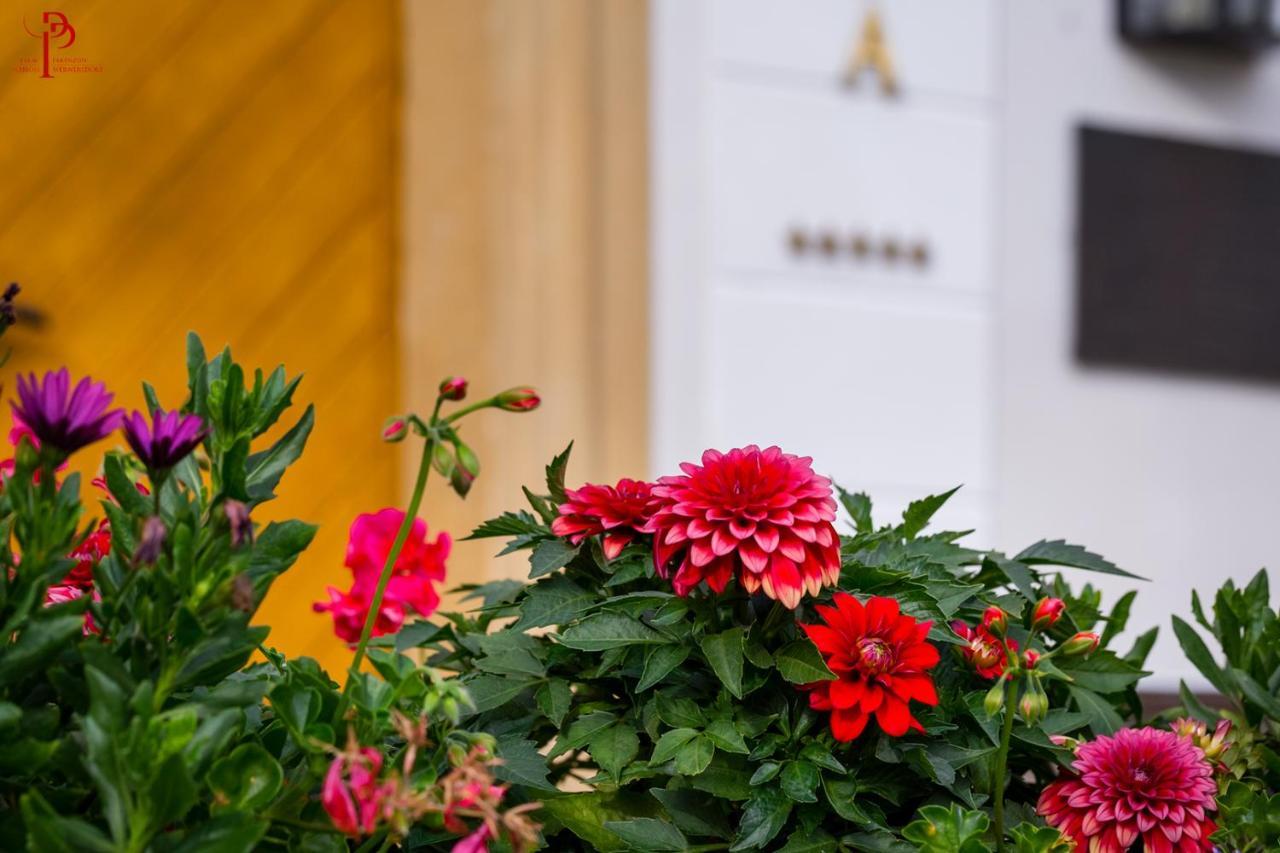 Pałac Pakoszów Jelenia Góra Exterior foto Dahlia 'Red Charm'